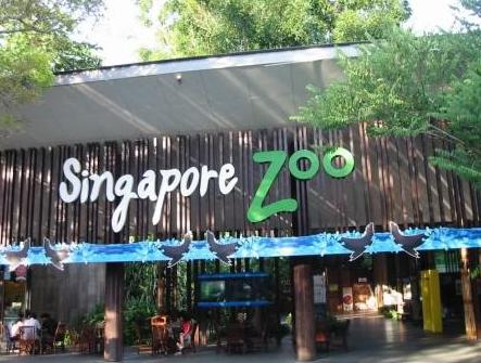 Топ-10 лучших зоопарков мира