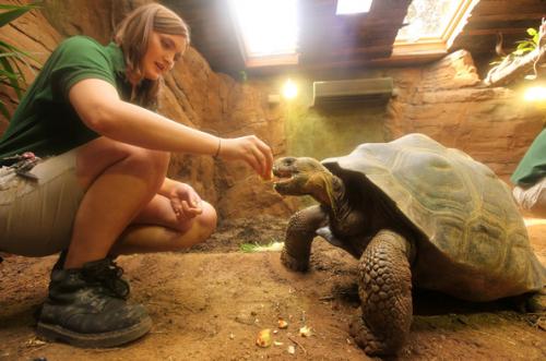 Топ-10 лучших зоопарков мира