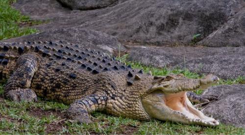 Топ-10 лучших зоопарков мира