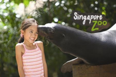 Топ-10 лучших зоопарков мира