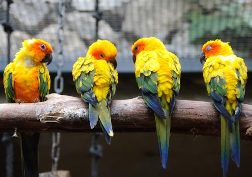 Топ-10 лучших зоопарков мира