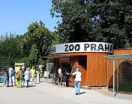 Топ-10 лучших зоопарков мира