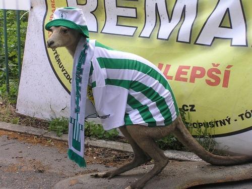 Топ-10 лучших зоопарков мира