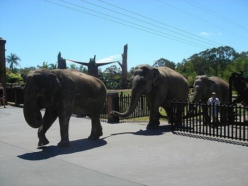 Топ-10 лучших зоопарков мира