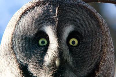 Топ-10 лучших зоопарков мира