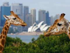 Топ-10 лучших зоопарков мира