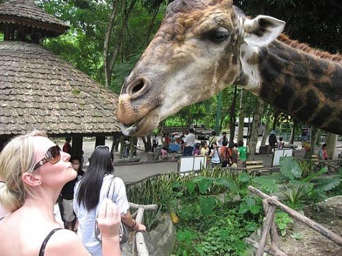 Топ-10 лучших зоопарков мира