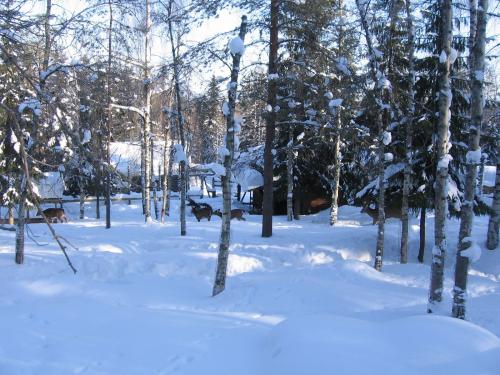 Топ-10 лучших зоопарков мира