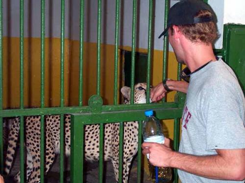 Топ-10 лучших зоопарков мира