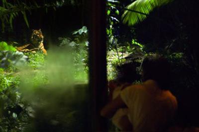 Топ-10 лучших зоопарков мира