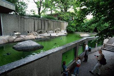 Топ-10 лучших зоопарков мира