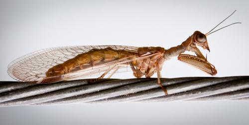 Лучшие фото National Geographic"s 2010