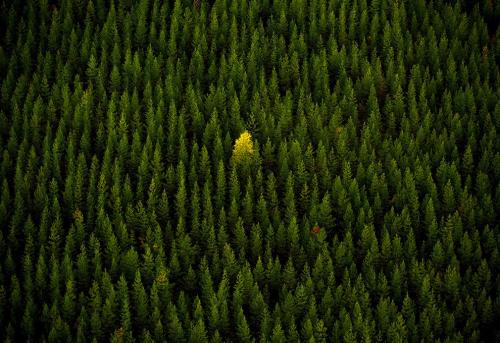 Лучшие фото National Geographic"s 2010