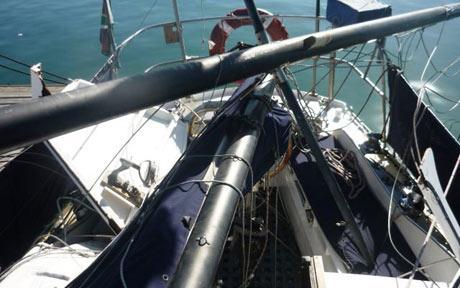 Кит принял яхту за «подружку»