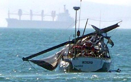 Кит принял яхту за «подружку»