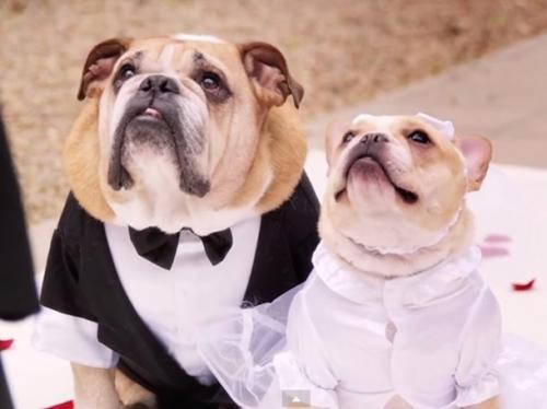 Самые сексуальные женщины 2016 года