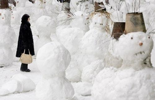 Самые смешные фотографии по версии Агентства Франс Пресс