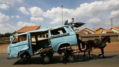 Самые смешные фотографии по версии Агентства Франс Пресс