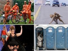 Самые смешные фотографии по версии Агентства Франс Пресс