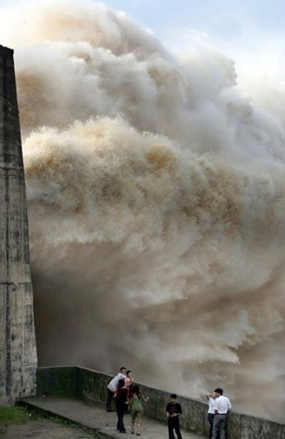 Самые смешные фотографии по версии Агентства Франс Пресс