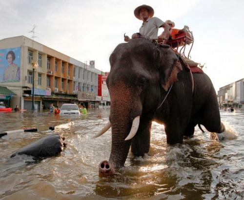 Бангкок на грани полного затопления