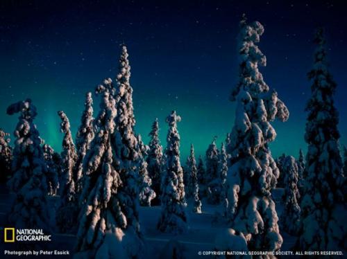 Лучшие фотографии природы от National Geographic 2009