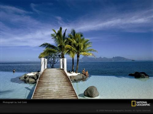 Лучшие фотографии природы от National Geographic 2009