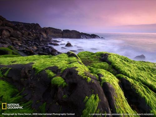 Лучшие фотографии природы от National Geographic 2009