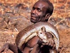 Как развлечься со змеёй и не умереть