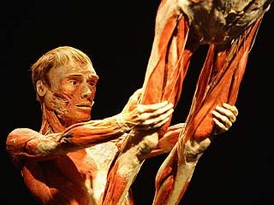 Немец заставил трупы заниматься сексом