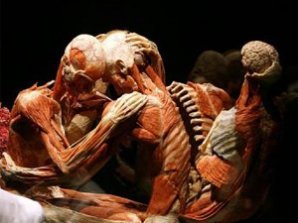 Немец заставил трупы заниматься сексом