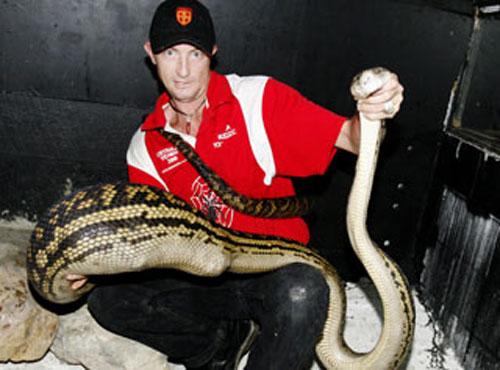 Австралийский питон съел собаку на глазах владельцев