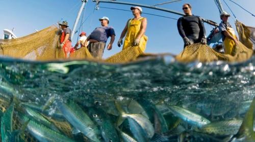 10 интригующих фактов об океанских глубинах, которых вы могли не знать