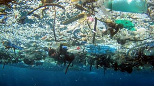 10 интригующих фактов об океанских глубинах, которых вы могли не знать