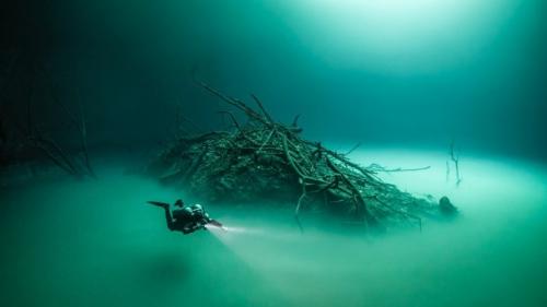10 интригующих фактов об океанских глубинах, которых вы могли не знать