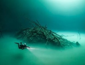 10 интригующих фактов об океанских глубинах, которых вы могли не знать