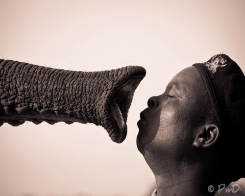 Лучшие снимки с конкурса фото National Geographic 2011. Часть 2
