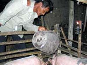 Удивительные люди, которые потрясли мир