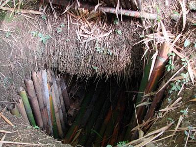 Удивительные люди, которые потрясли мир