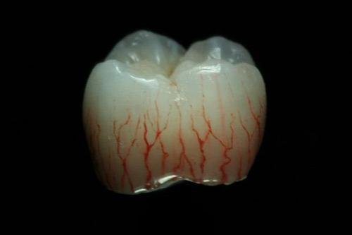 Тату на зубах — для детей и взрослых