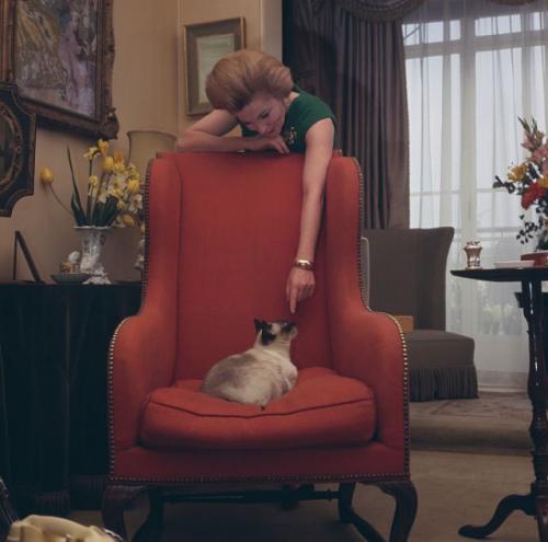 Знаменитые любители кошек: известные личности и их питомцы