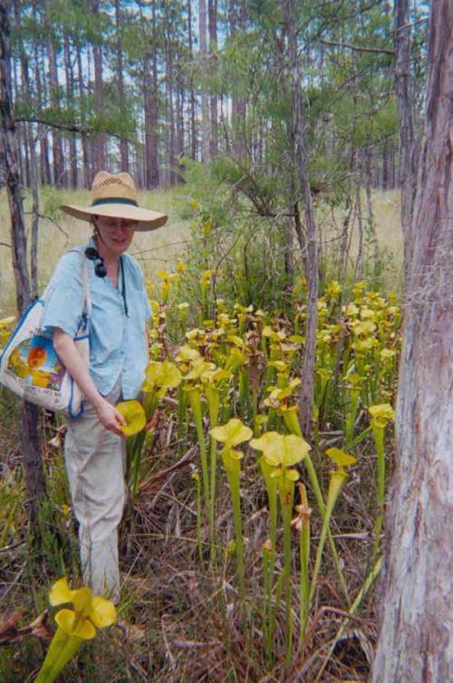 Растения-убийцы