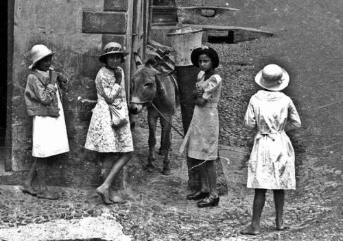 Знаменитости, которые росли сиротами