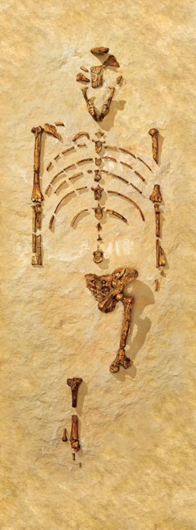 Топ-10 главных археологических открытий 2010 года