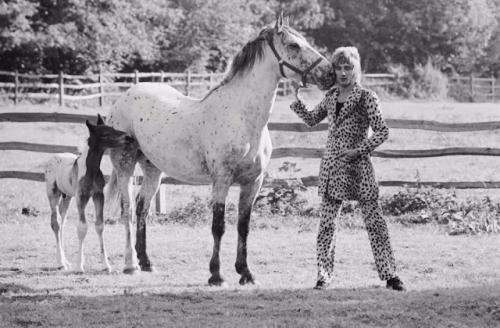 Суперзвезды 1960-х, снятые классиком фотографии Терри О Нилом