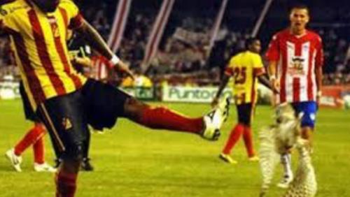 Ухо Холифилда и "рука Бога" Марадоны: самые скандальные выходки спортсменов