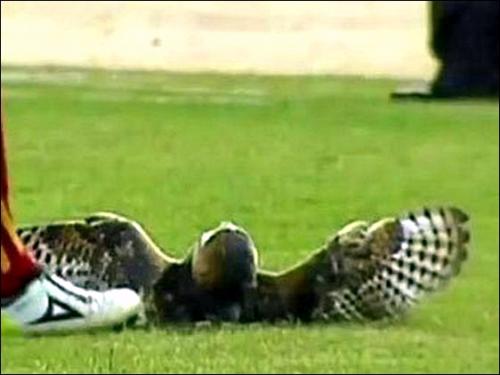 Ухо Холифилда и "рука Бога" Марадоны: самые скандальные выходки спортсменов