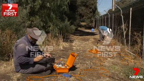 Жуткие и необъяснимые истории, неразгаданные до сих пор