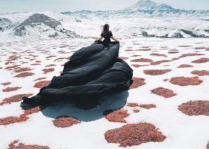 Победители фотоконкурса Sony World Photography Awards