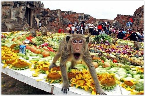 Самые странные фестивали мира